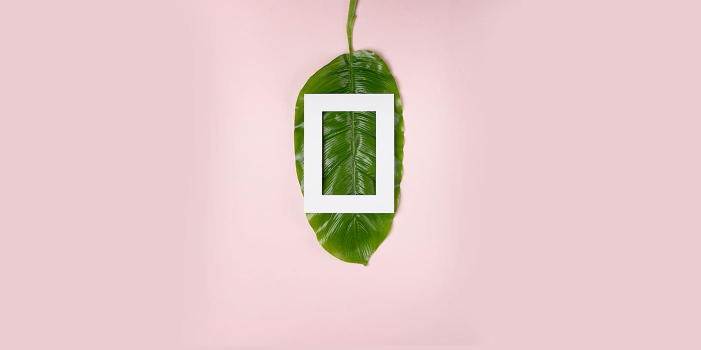 User Interface Design